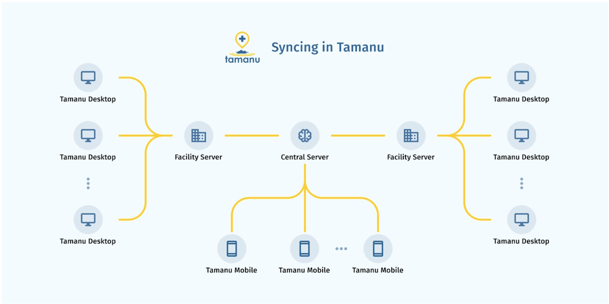 Tamanu's Universal Sync model